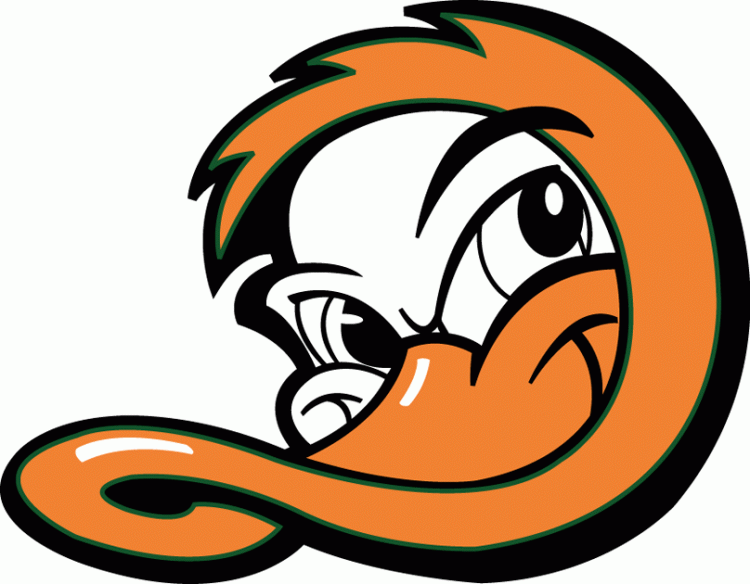 Long Island Ducks 2000-Pres Cap Logo iron on transfers for T-shirts